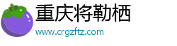 重庆将勒栖